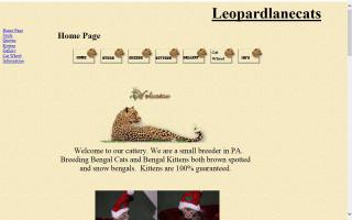 Leopardlanecats