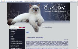 EstiBri*PL EstiBri*PL