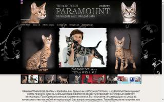 PARAMOUNT Cattery