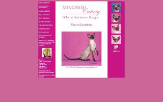 Minghou Cattery