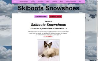 Skiboots Snowshoes