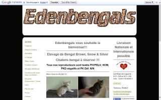 Edenbengals