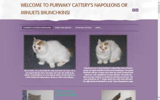 Purwaky Cattery