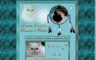 DreamKatcher Perisans & Exotics