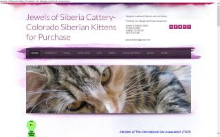 Jewels of Siberia Cattery