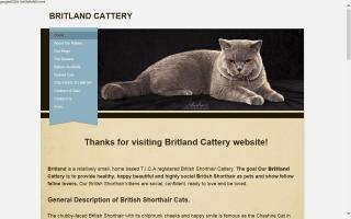 Britland Cattery