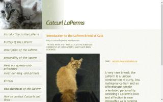 Catcurl LaPerms