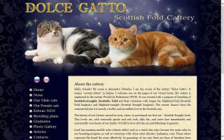 Dolce Gatto