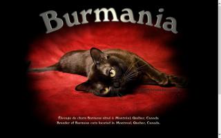 Burmania Cattery