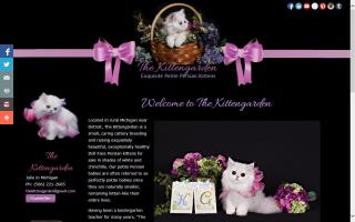 Kittengarden, The