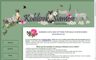 Koblizek Siamese