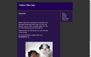 Hollow Hills Cats