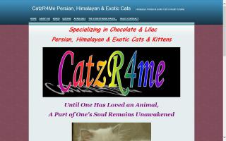 CatzR4Me Persian, Himalayan & Exotic Cats