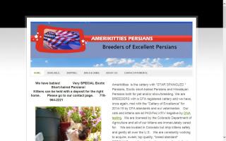 Amerikitties Persians