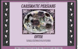 Carismatic Persians