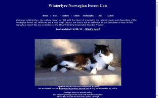Winterfyre Cattery
