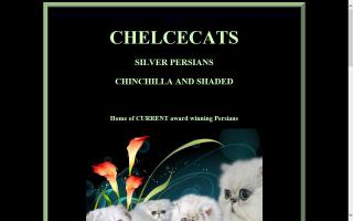 Chelcecats Silver Persians
