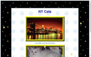 NY Cats Cattery