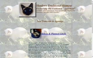 Shadows Traditional Siamese