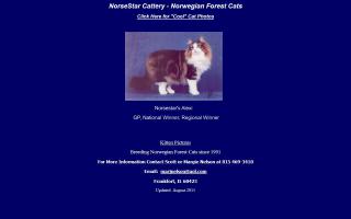 NorseStar Cattery