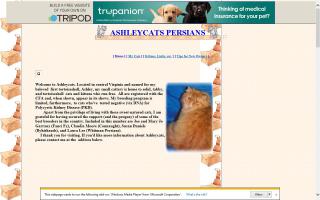 Ashleycats Persians