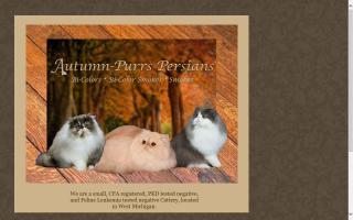 Autumn-Purrs Persians