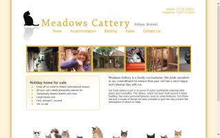 Meadows Cattery