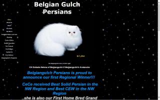 Belgian Gulch Persians