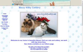 Bizzy Kitty Cattery