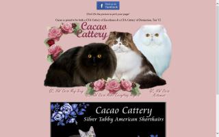 Cacao Cattery
