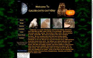 Caleb-Cats Cattery
