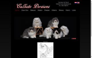 Callisto Persians