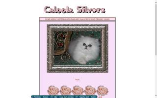 Caloola Silvers