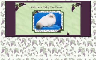 Catley Crue Cattery