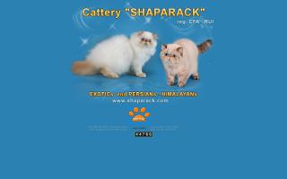 Shaparck Cattery