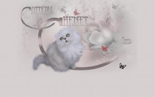 Cattery Chenet