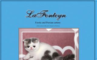 LaFonteyn Exotics & Persians