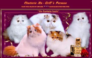 Ma Griff's Persans