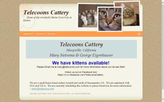 Telecoons Cattery