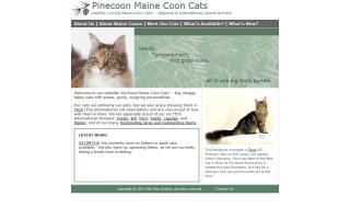 Pinecoon Maine Coons