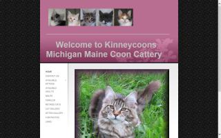 Kinneycoons Maine Coon Cats