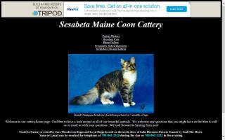 Sesabeta Maine Coon Cattery