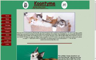 Koontyme Maine Coon Cats