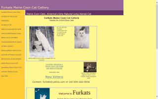 Furkats Maine Coon Cattery