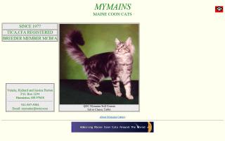 MyMains Maine Coon Cattery