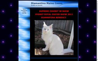 Diamantina Maine Coons