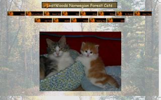 LostWoods Norwegian Forest Cats