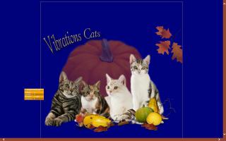 Vibrations Cattery