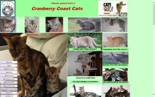 Cranberry Coast Cats