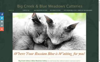 Big Creek Cattery